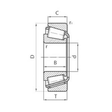 Rolando 30324 CYSD