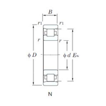 Rolamentos N219 KOYO