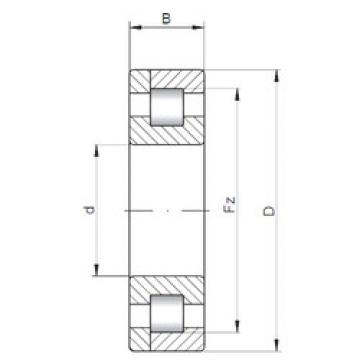 Rolando NP236 E CX