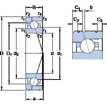 Rolando 7009 ACE/P4AL1 SKF