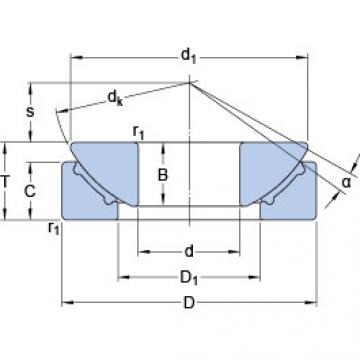 Rolando GX 40 F SKF