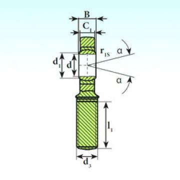 Rolando SA 70 C 2RS ISB