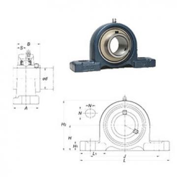 Rolando UCP207-21 FYH