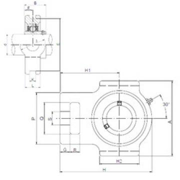 Rolando UCT316 CX