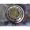 New FAG NU310E.M1.C4 X-Lite Roller Bearing #5 small image