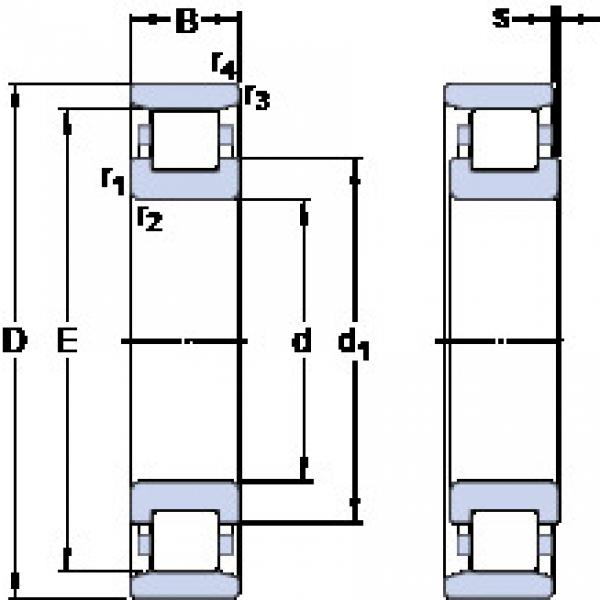 Rolando N 321 ECP SKF #1 image