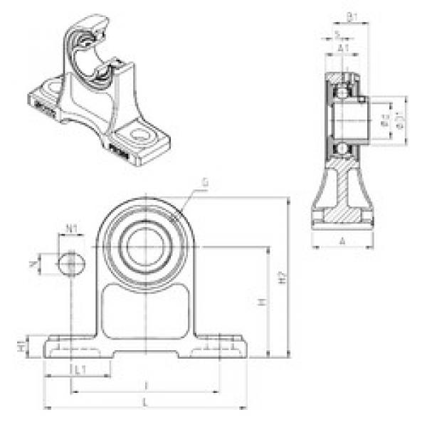 Rolando USPH206 SNR #1 image