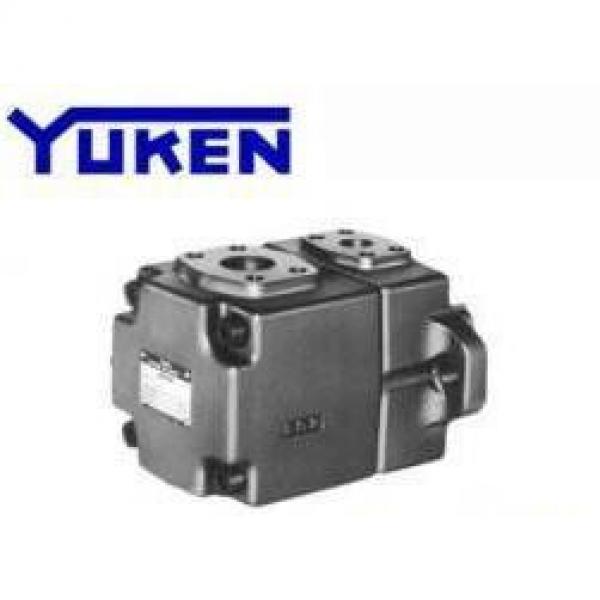 YUKEN S-PV2R14-14-237-F-REAA-40 #1 image