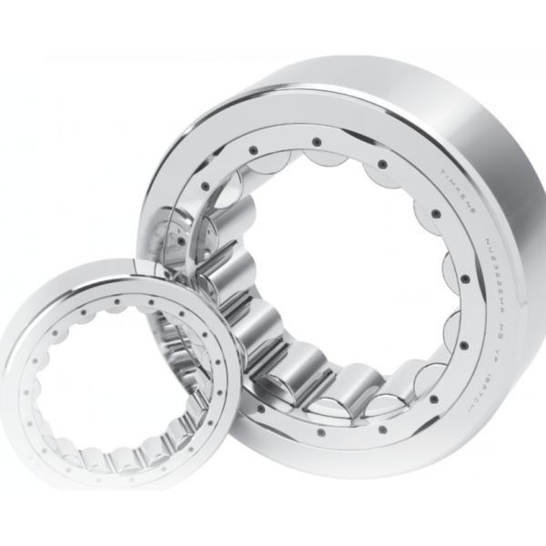 Bearing 170RU51 #1 image