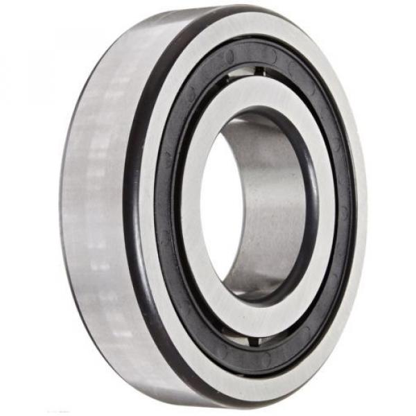 Fag NJ310E-TVP2-C3 Cylindrical Roller Bearing, Single Row, Removable Ring #5 image