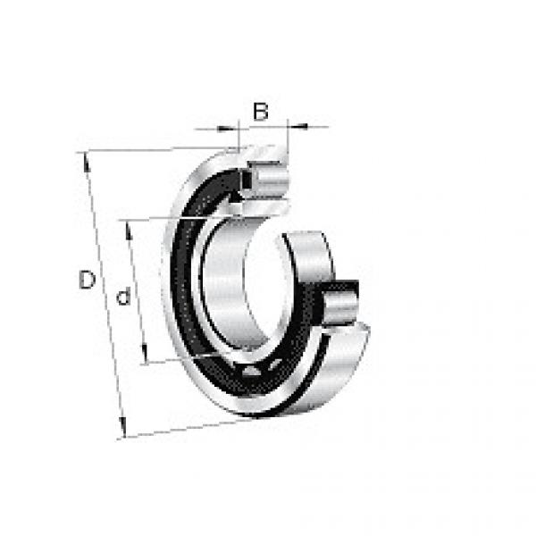 NU1036M1A.C3 FAG Cylindrical Roller Bearing Single Row #5 image